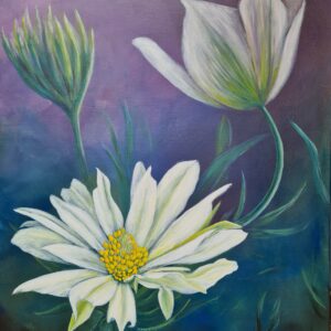 Cosmos Sylvie Perrenoud