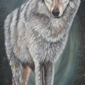 Canis Lupus Sylvie Perrenoud