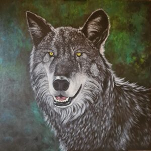 Loup gris