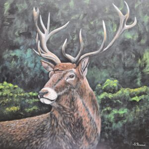 Animaux