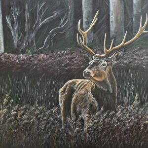 Le prince de la Forêt