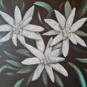 Etoiles des neiges