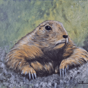 Madame marmotte Sylvie Perrenoud