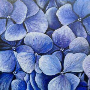 Hortensia